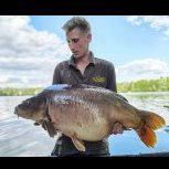 Carpy jack