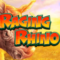 The real raging rhino