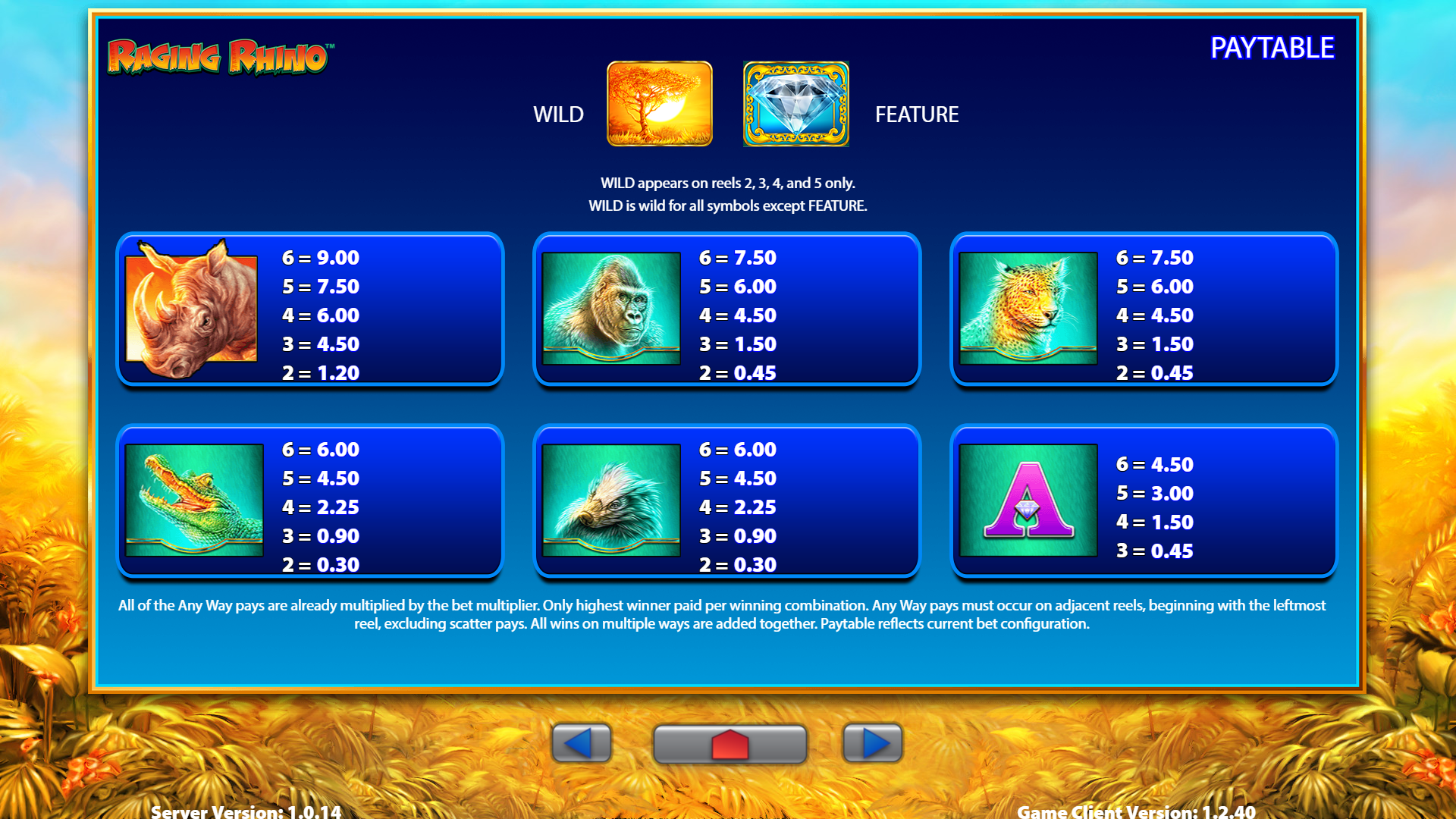 Raging Rhino Pay Table