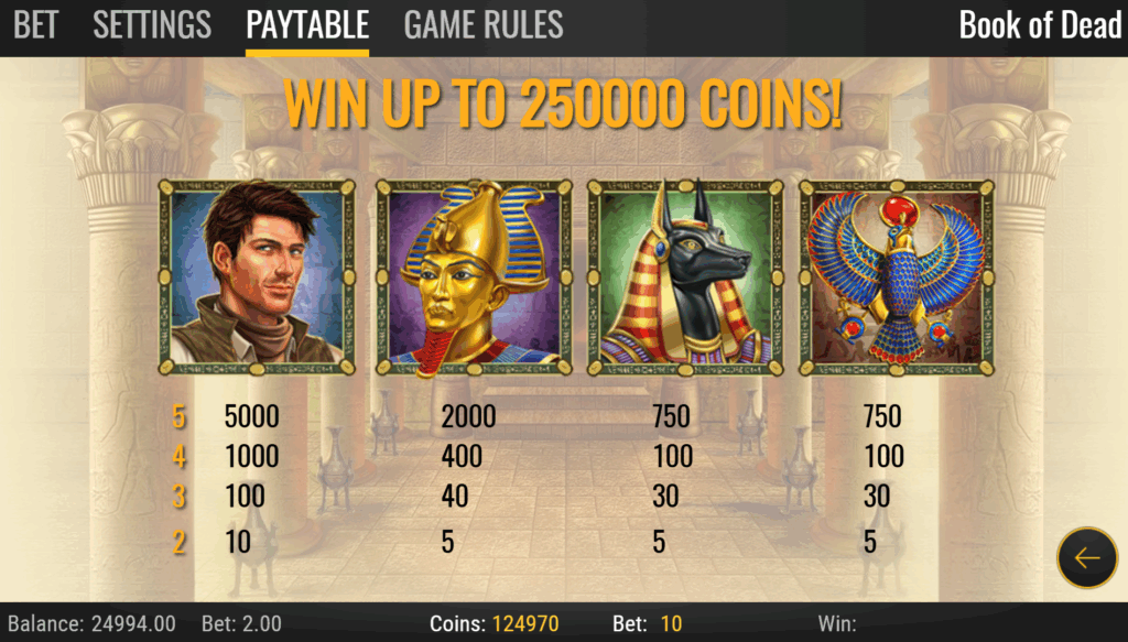 Book of Dead High Paying Symbols