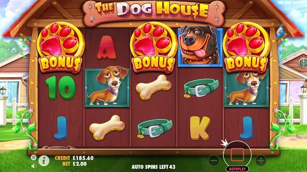 The Dog House Slot Review