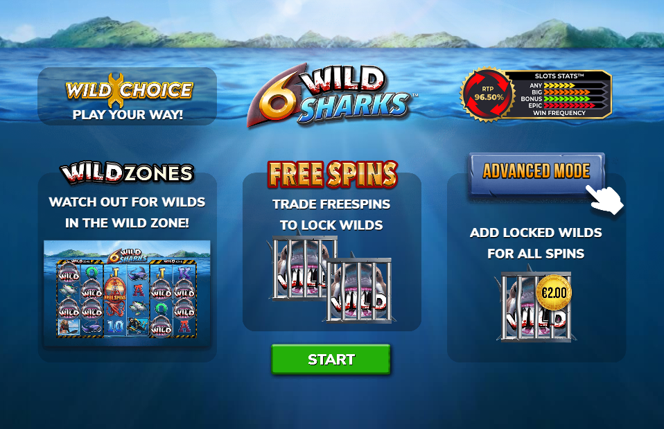 6 Wild Sharks Welcome Page