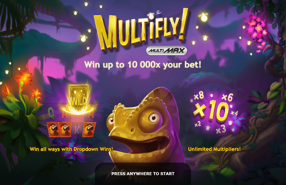 Multifly Welcome Page