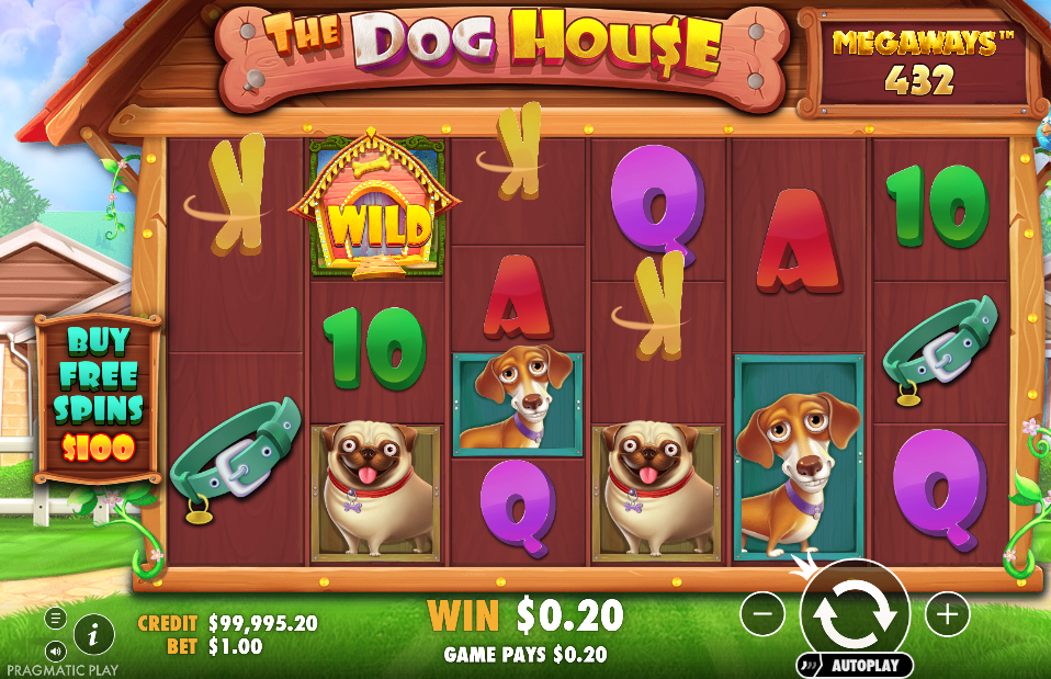 The Dog House Megaways Big Win