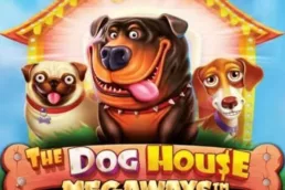 the dog house megawatts slot