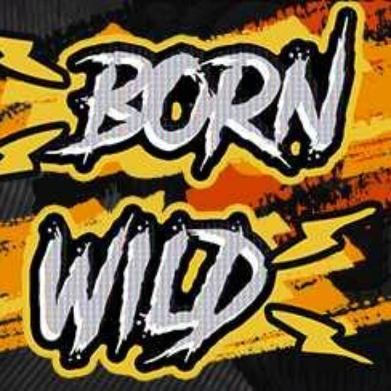 Born Wild Slot Logo
