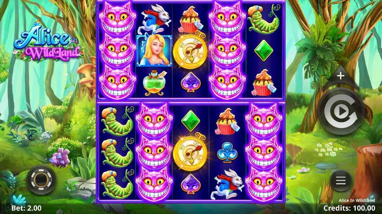 Alice in WildLand Base