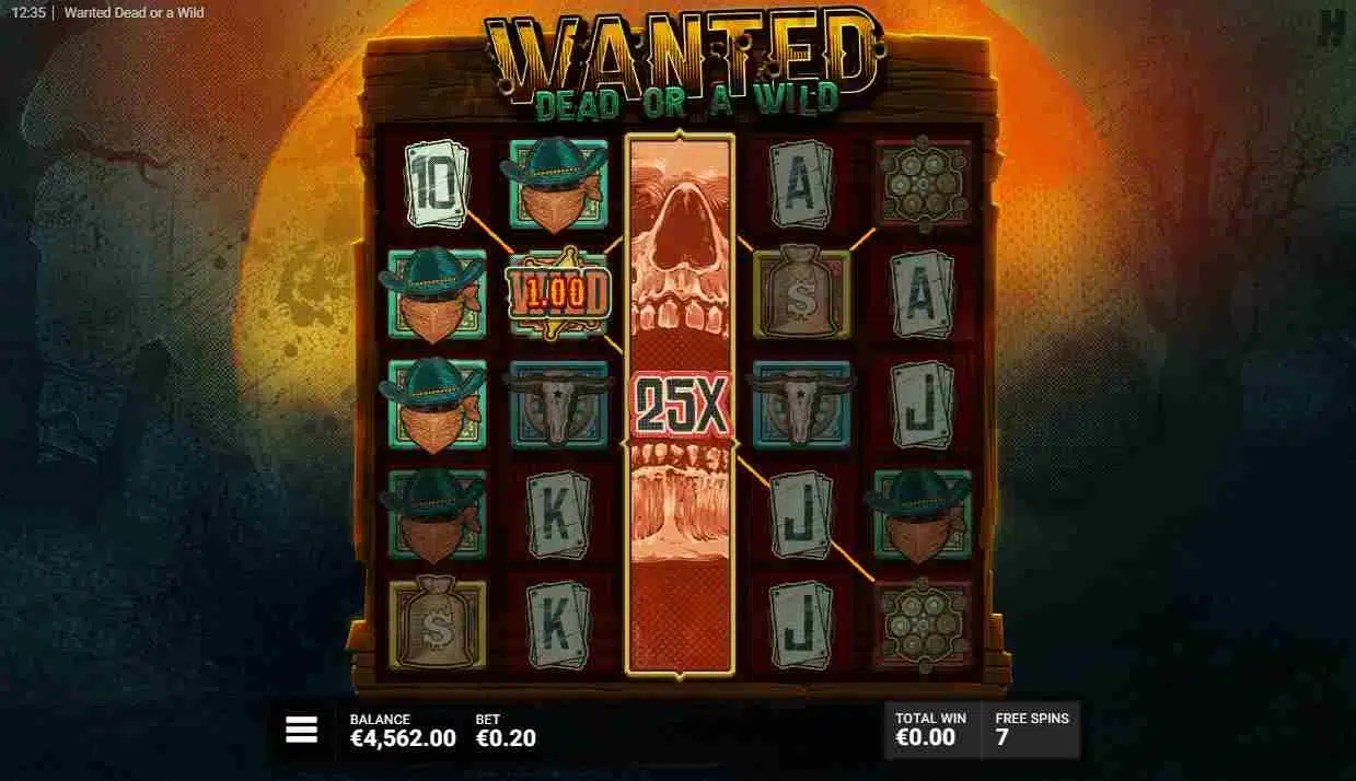 Wanted Dead or a Wild Duel at Dawn Feature
