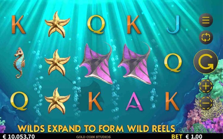 Aquatic Treasures Coast 2 Coast Base Game