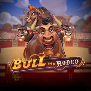bullinarodeo 600x600