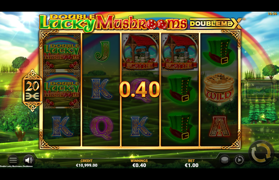 Double Lucky Mushrooms Big Win