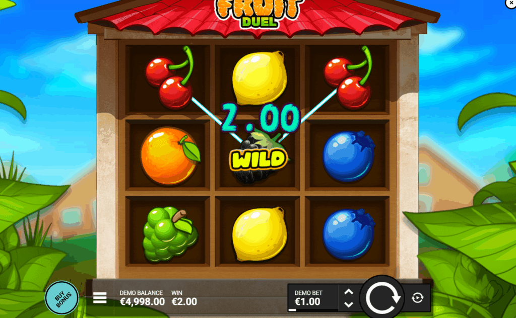 Fruit Duel Big Win
