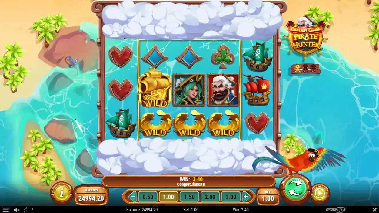Captain Glum Pirate Hunter Wake Wilds