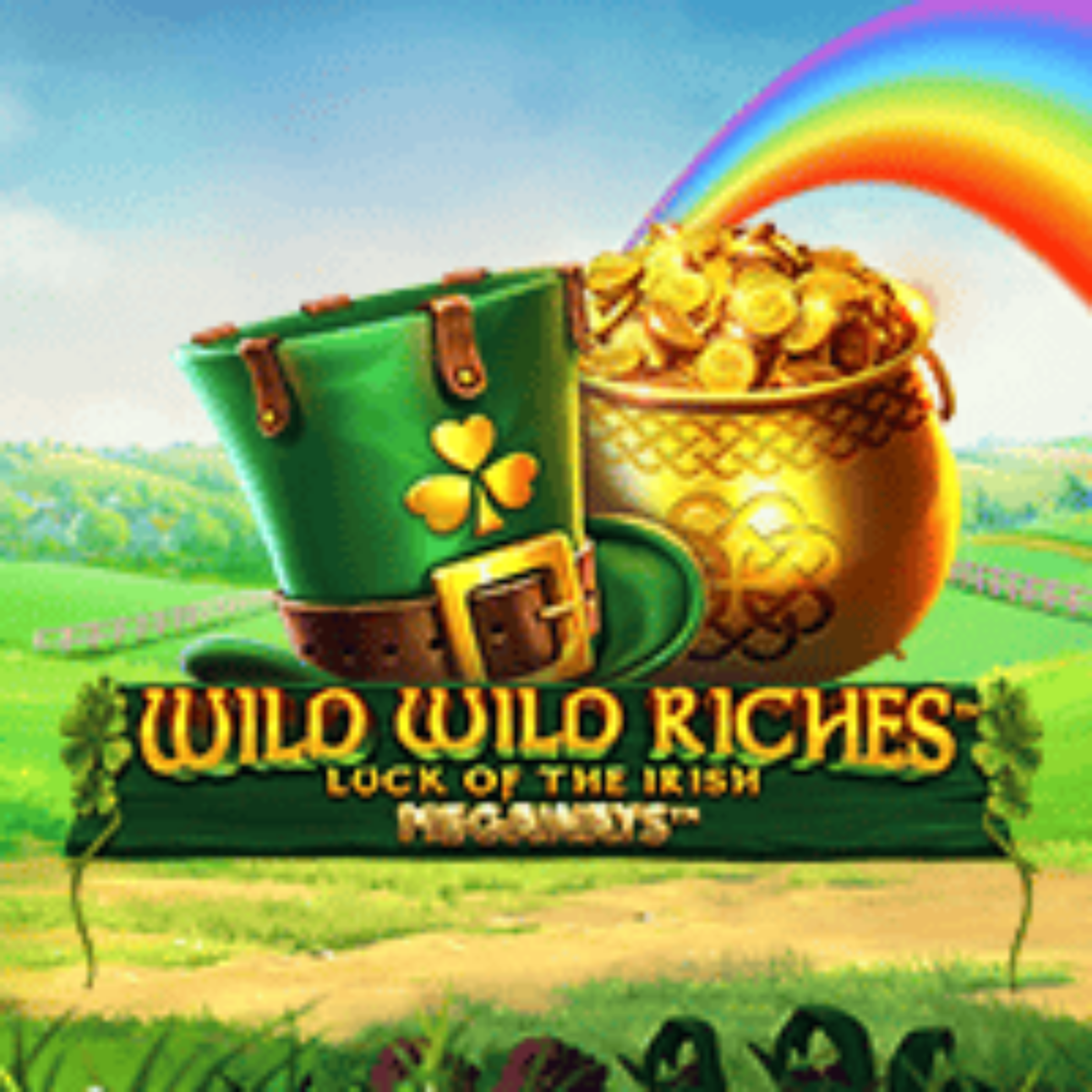 wild wild riches big win