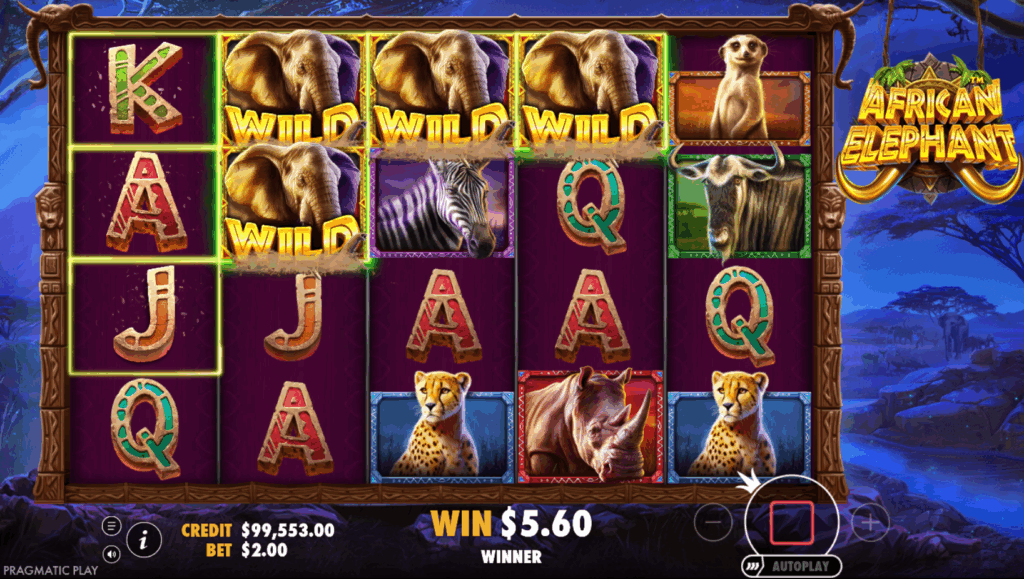 Our Verdict on African Elephant