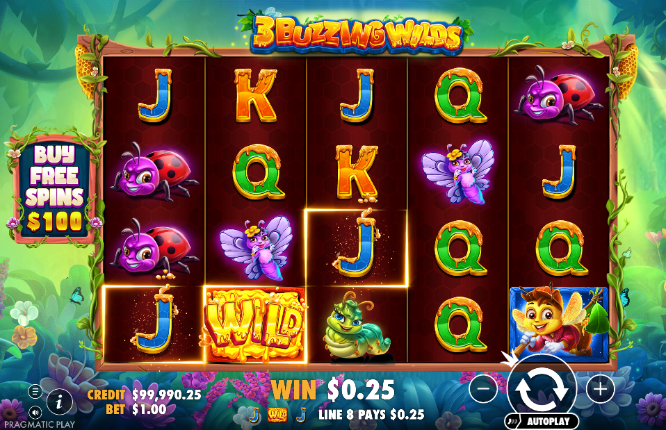 3 Buzzing Wilds Big Win