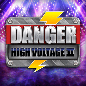 Danger High Voltage 2 Slot 1