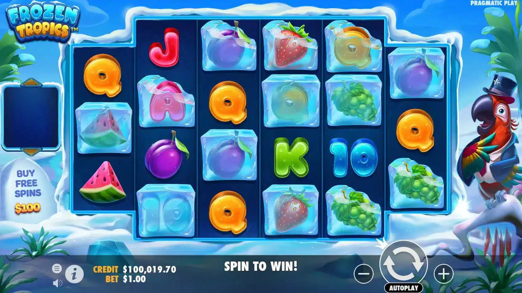 Frozen Tropics Base Gamer
