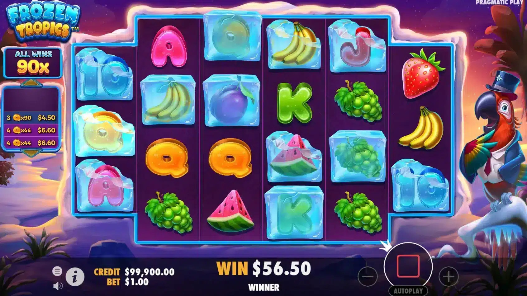 Frozen Tropics Free Spins