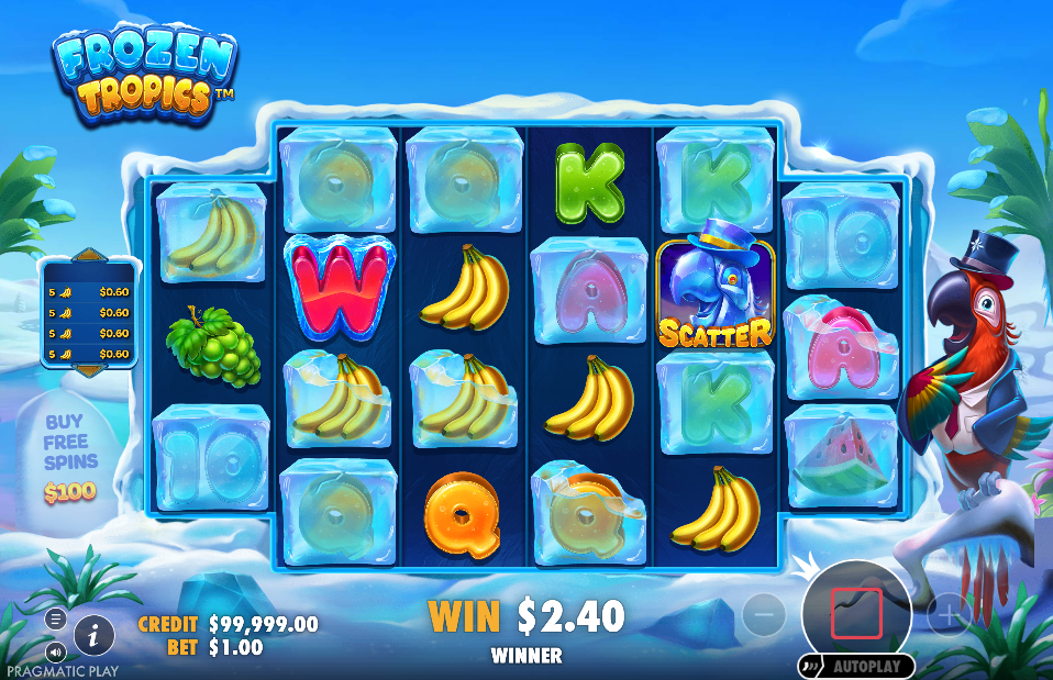 Frozen Tropics Big Win