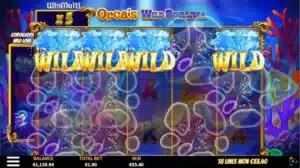 Orca's Wild Bonanza Extenda Edition Wilds
