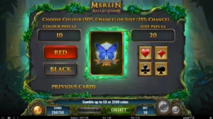 Merlin Realm of Charm - Gamble Feature