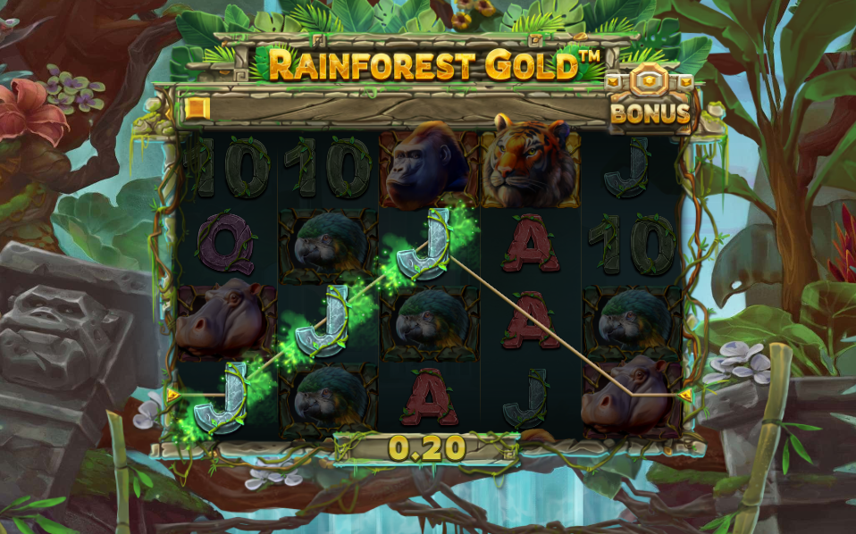 Rainforest Gold Big Win