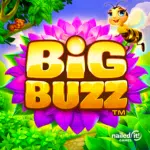 Play Big Buzz Slot Game