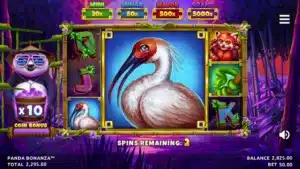 Panda Bonanza - Free Spins