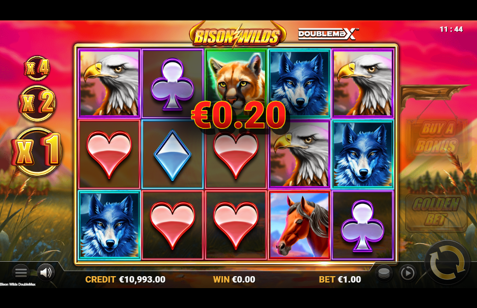 Bison Wilds DoubleMax Big Win