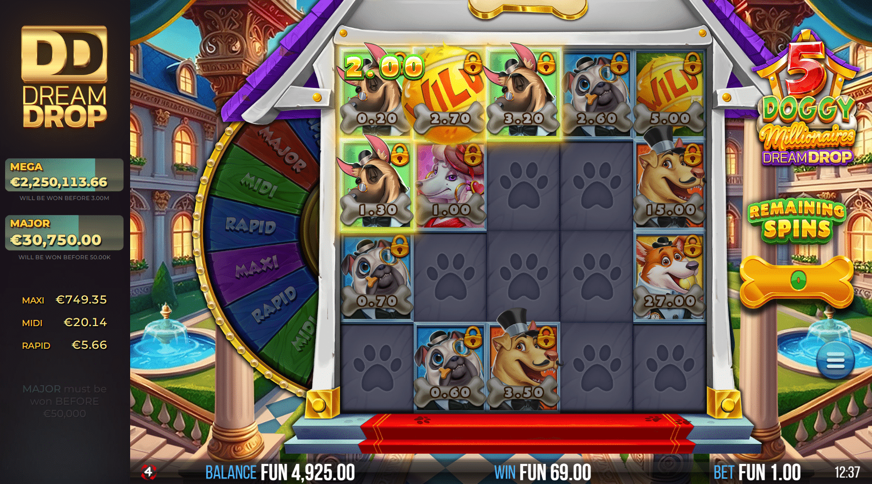 5 Doggy Millionnaires Dream Drop - Respins