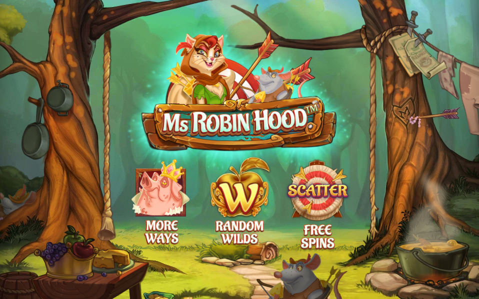 Ms Robin Hood Welcome Page