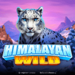 Himalayan Wild Slot 1