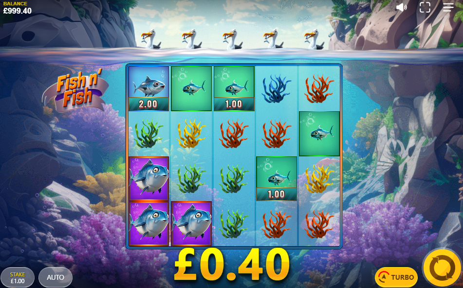 Fish n’ Fish Big Win