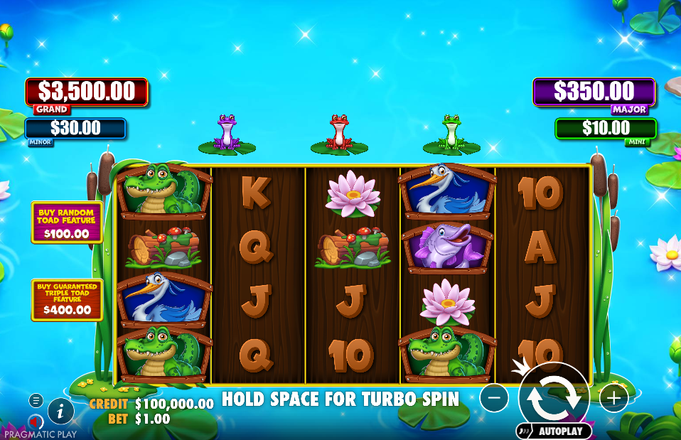 Tiny Toads Base Game