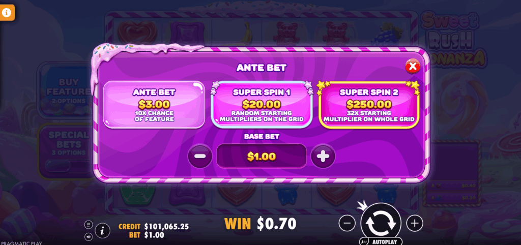 Sweet Rush Bonanza Special Bet Options
