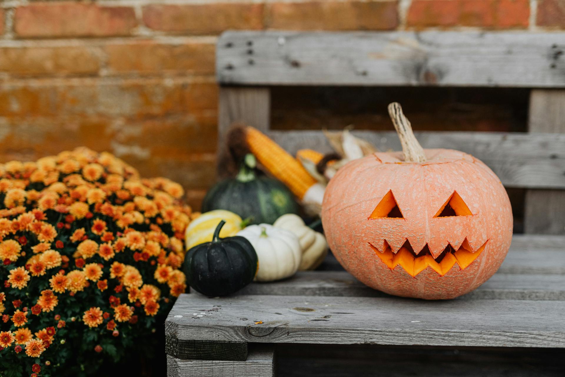 Best Halloween Slots to Play This Autumn
