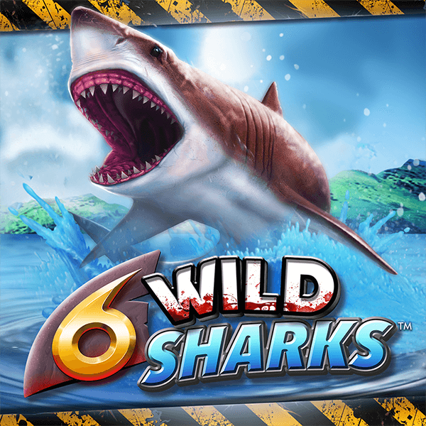 6 Wild Sharks Logo