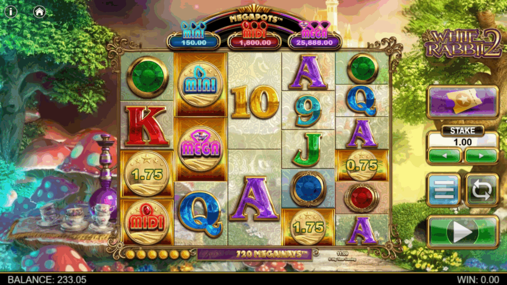 Coin Symbols are Responsible for Triggering the Hold & Spin Feature