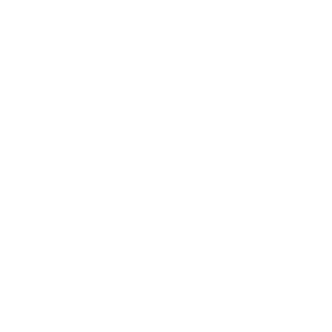 Casumo New Logo