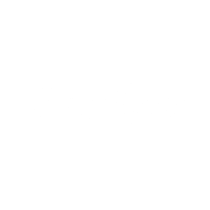 HeySpin Logo