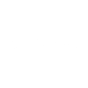 Sky Vegas Logo
