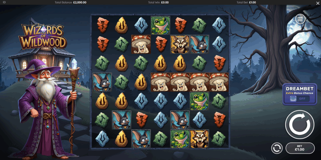 Wizards of Wild Wood Base Game