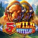Play 5 Wild Buffalo 3 Slot Game