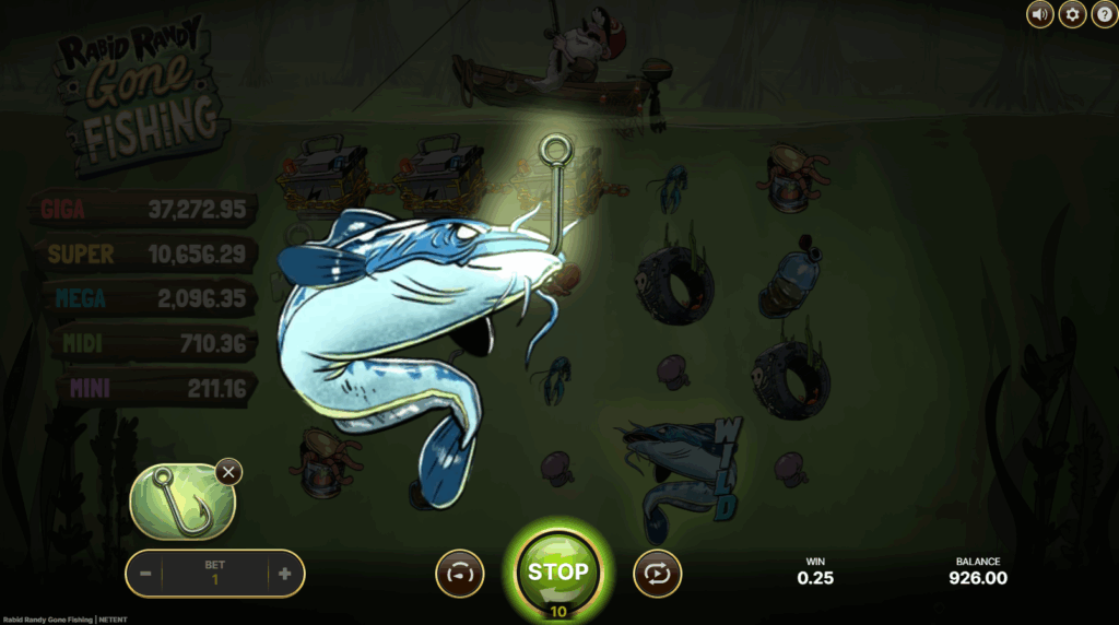 Hook Wilds Trigger up to 3 Wild Features or the Free Spins Mode