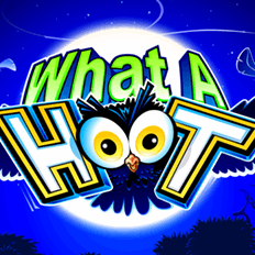 What A Hoot