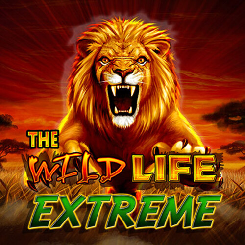Play The Wild Life Extreme Slot Game