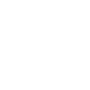 Mint Logo
