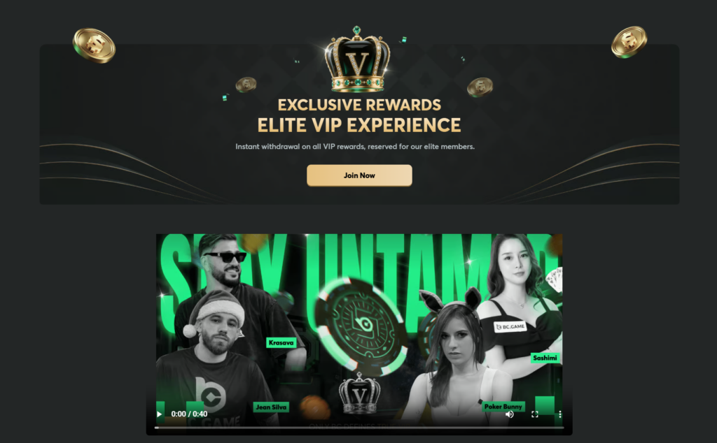 bc game vip system