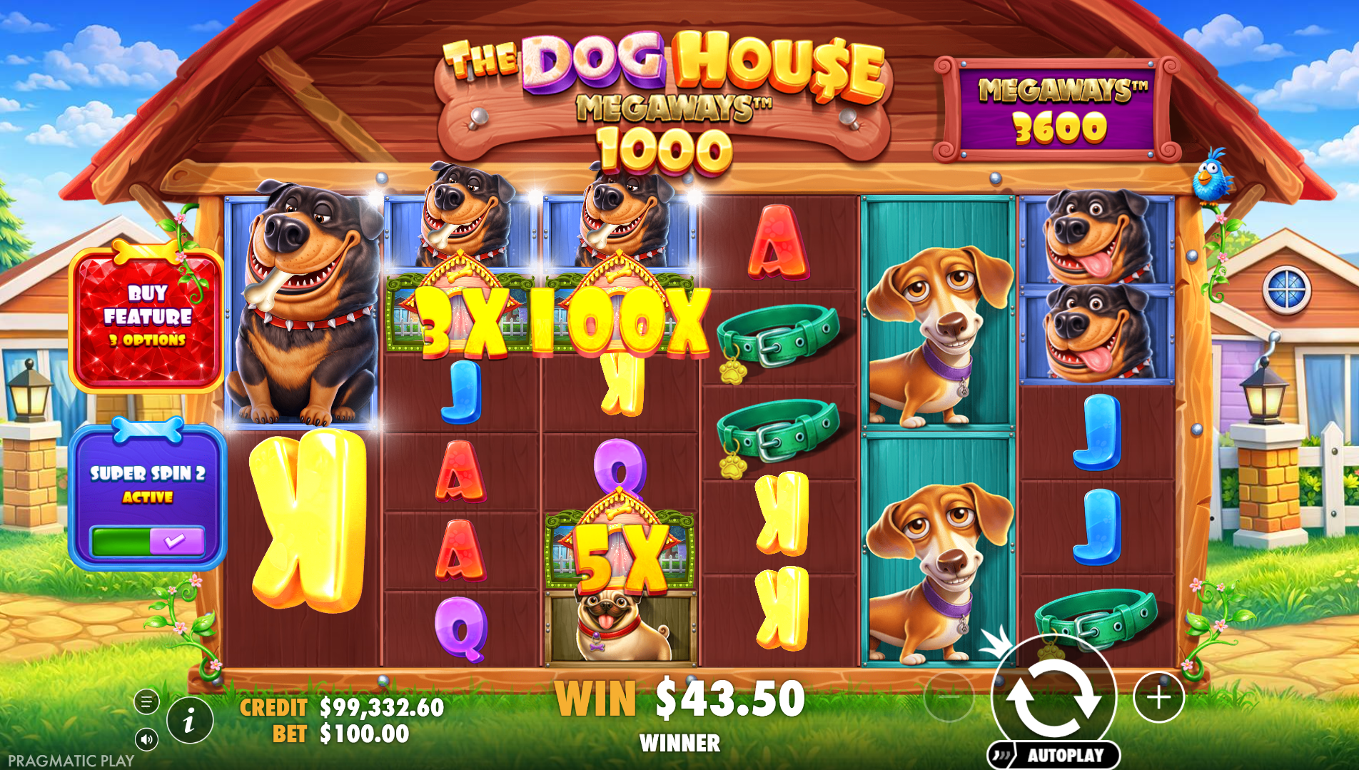 The Dog House Megaways 1000 wild symbols showing multipliers up to 1000x